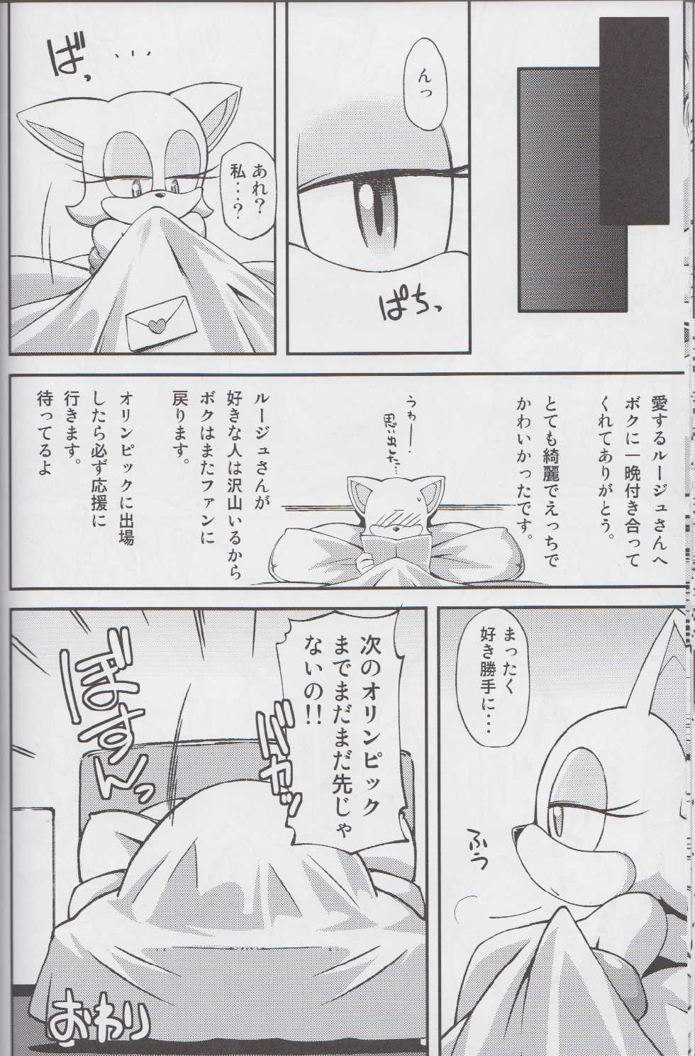 (C85) [Tengai Aku Juumonji (Various)] Ore no Fuyu 2013 (Sonic The Hedgehog) - Page 25