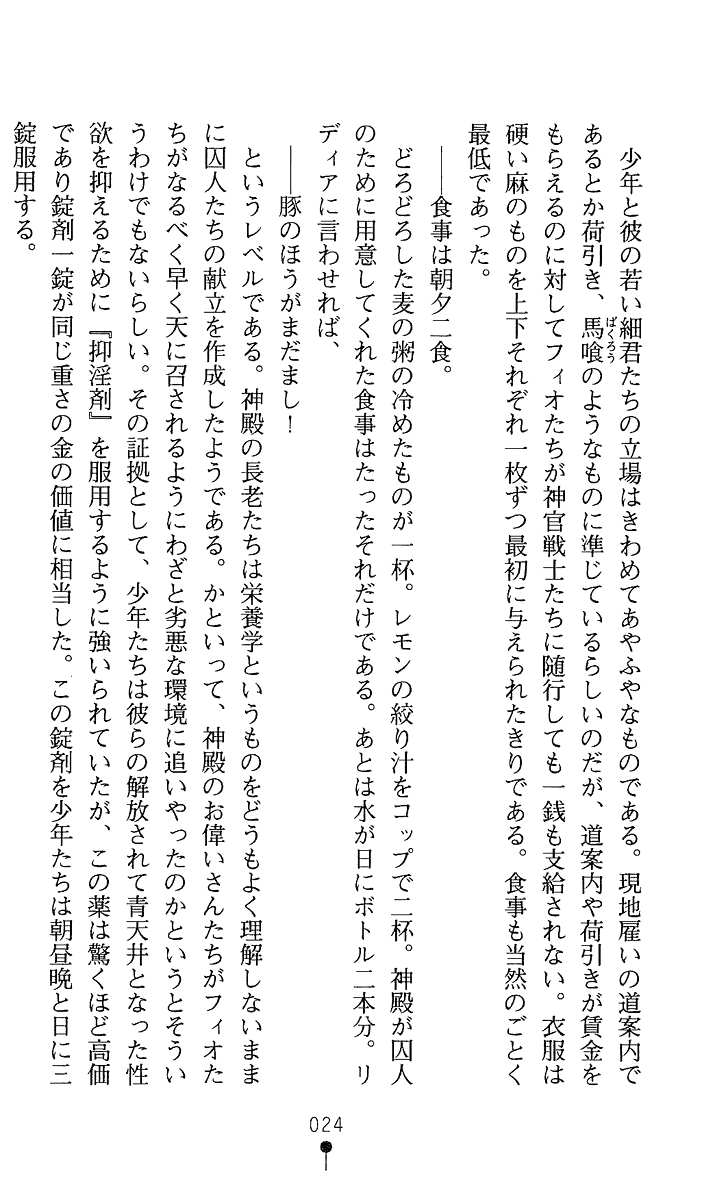 [Kou Siryou, Matsuzawa Kei] White Prison V - Shitsujun naru Mitsurin ni Ao no Chou wa Mau - Page 25