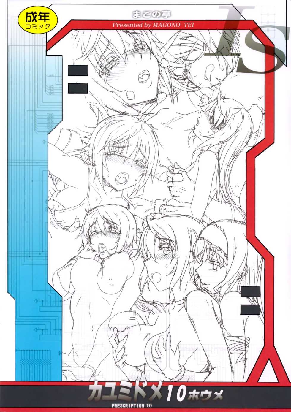 (C85) [Magono-Tei (Carn)] Kayumidome 10 Houme (IS <Infinite Stratos>) [Chinese] [final個人漢化] - Page 30