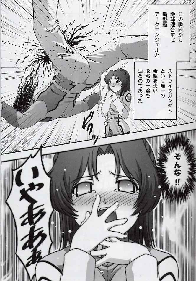 (CR33) [Studio Wallaby (Takana Yu-ki)] SECRET FILE NEXT 6 (Kidou Senshi Gundam SEED) - Page 6