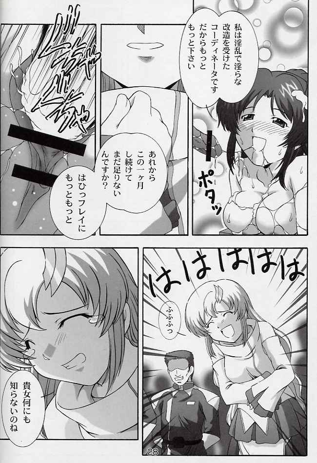 (CR33) [Studio Wallaby (Takana Yu-ki)] SECRET FILE NEXT 6 (Kidou Senshi Gundam SEED) - Page 27