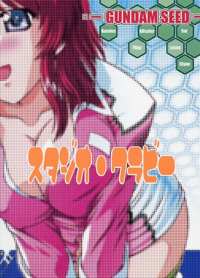 (CR33) [Studio Wallaby (Takana Yu-ki)] SECRET FILE NEXT 6 (Kidou Senshi Gundam SEED) - Page 34
