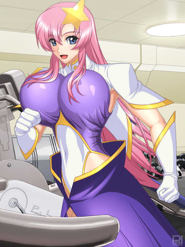 [Studio Ren (REN)] GLAMORUS WORKOUT (Gundam Seed Destiny) - Page 14