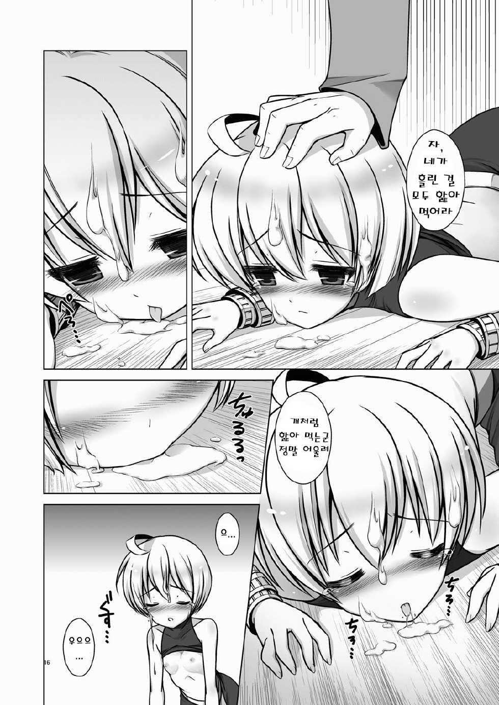 (C80) [C   A.D.D   (Kiriyama Machi)] Chastity Belt (Final Fantasy Tactics) [Digital] (Korean) - Page 17