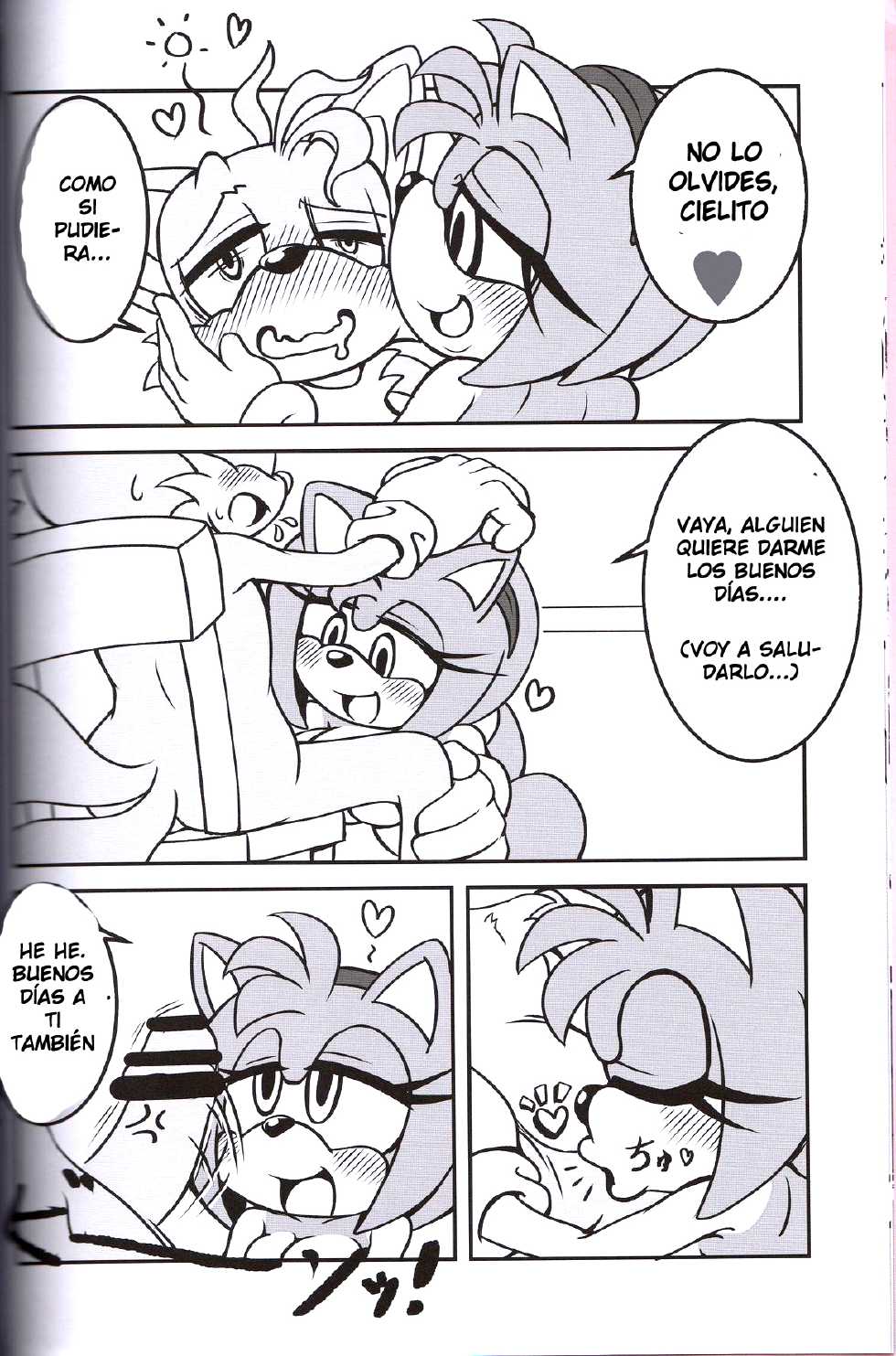 (Kansai! Kemoket 2) [Furry Fandom (Michiyoshi)] Kemono no Kanzume 3 (Sonic The Hedgehog) [Spanish] [LKNOFansub] - Page 9