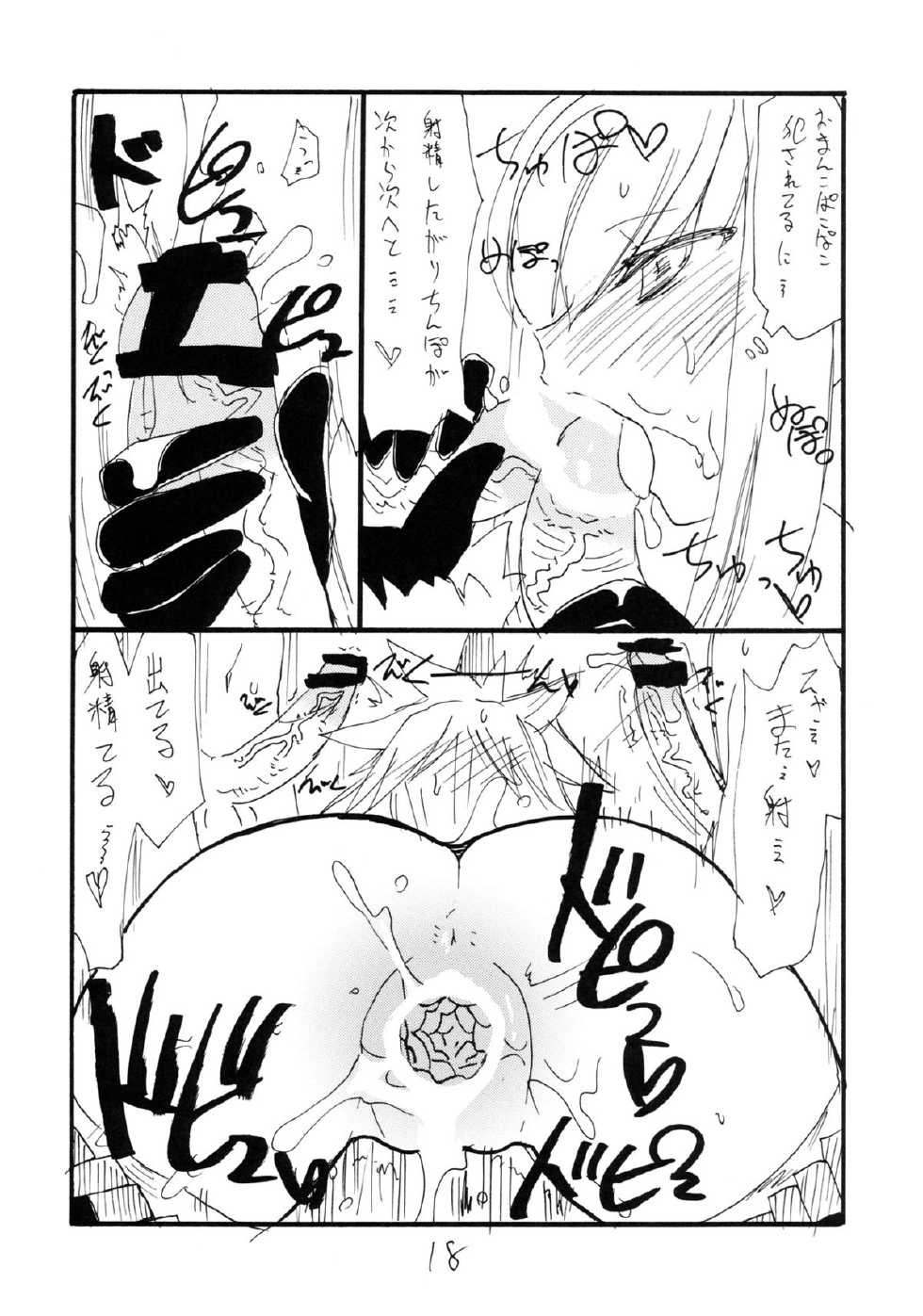 (SC41) [King Revolver (Kikuta Kouji)] DTR (Monster Hunter) - Page 17