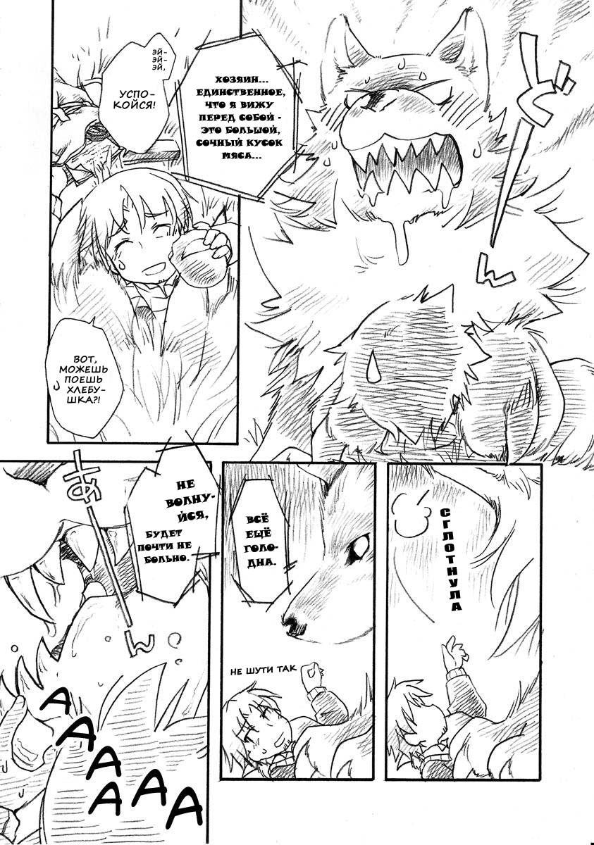 (C73) [Hinaprin (Ikuta Takanon)] Ookami no Hatsujouki (Spice and Wolf) [Russian] [Nik & Leri] - Page 3