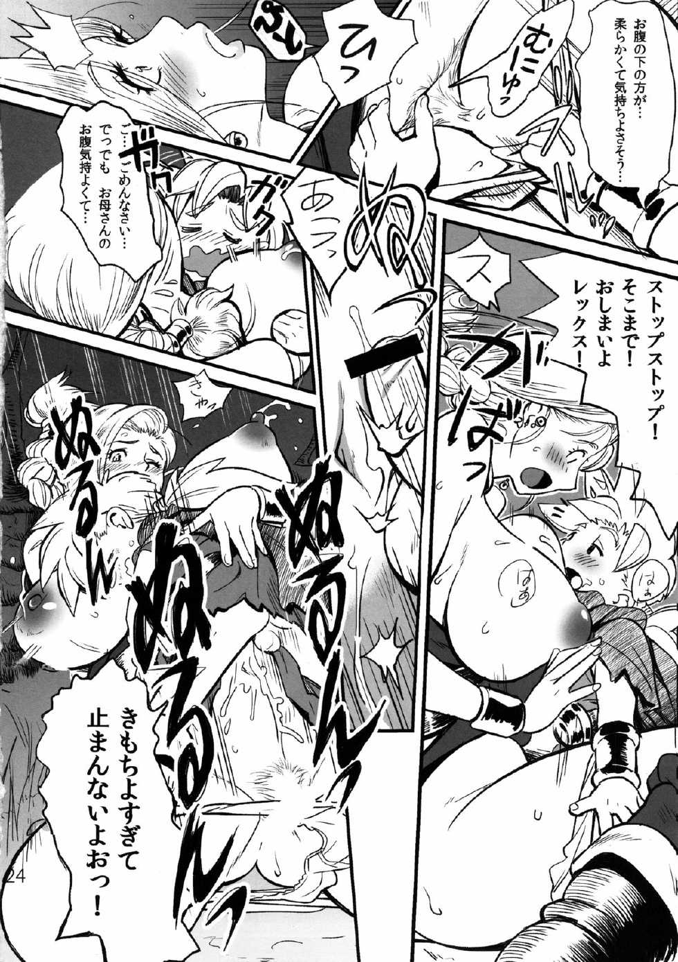 (C85) [VOLVOX (Kizaki, Chirima)] Mamono no Tou - Monster's Tower (Dragon Quest II, Dragon Quest V) - Page 23