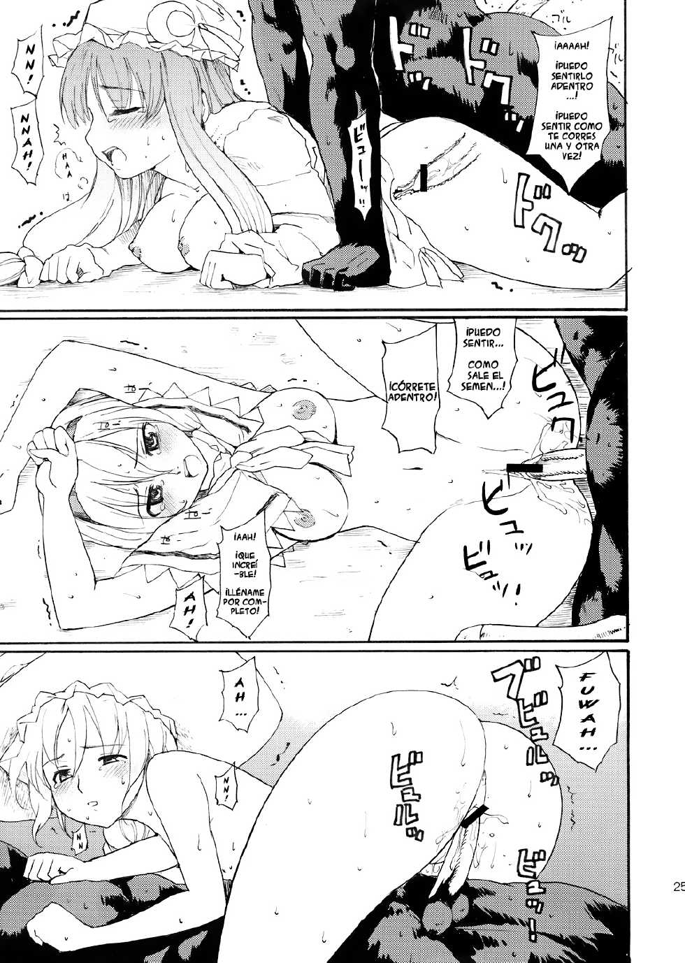 (C71) [Paranoia Cat (Fujiwara Shunichi)] Touhou Ukiyo Emaki Patchouli Knowledge (Touhou Project) [Spanish] [Ichi no Fansub] - Page 23