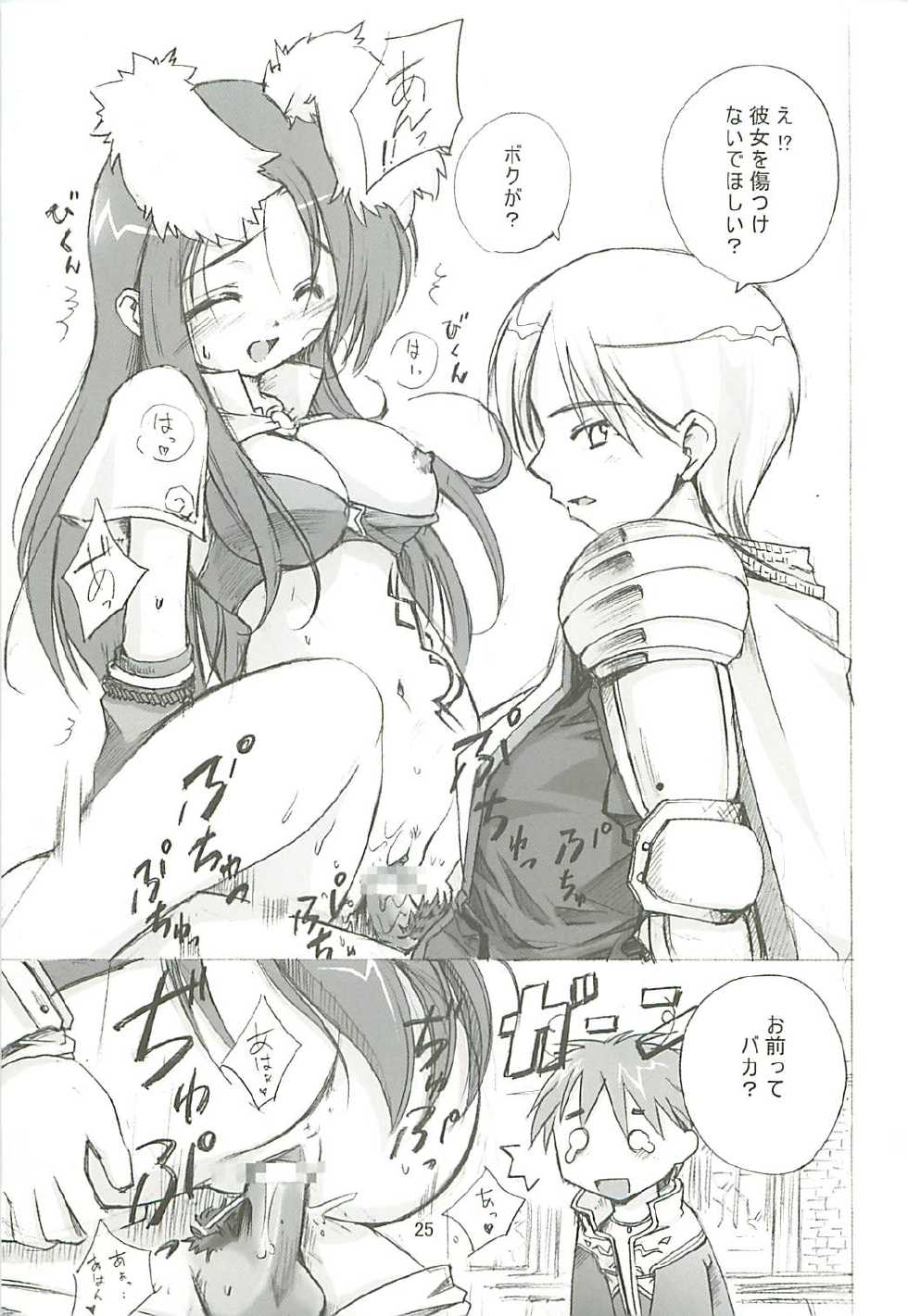 (SC23) [PARANOIA CAT (Fujiwara Shunichi)] Himitsu no Guild ni Goyoujin 1+2+α (Ragnarok Online) - Page 24