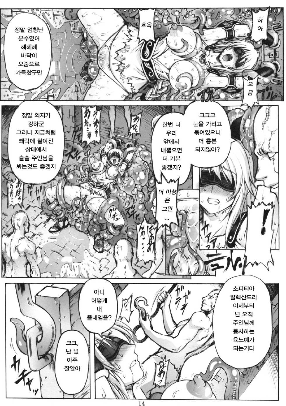 (C76) [Wolkenkratzer (Bontenkarasu)] Decadence Soul (SoulCalibur) [Korean] [DMC] - Page 13