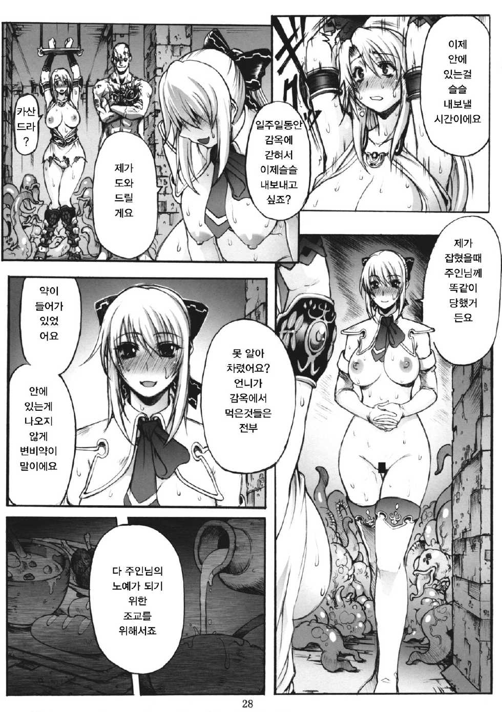 (C76) [Wolkenkratzer (Bontenkarasu)] Decadence Soul (SoulCalibur) [Korean] [DMC] - Page 27
