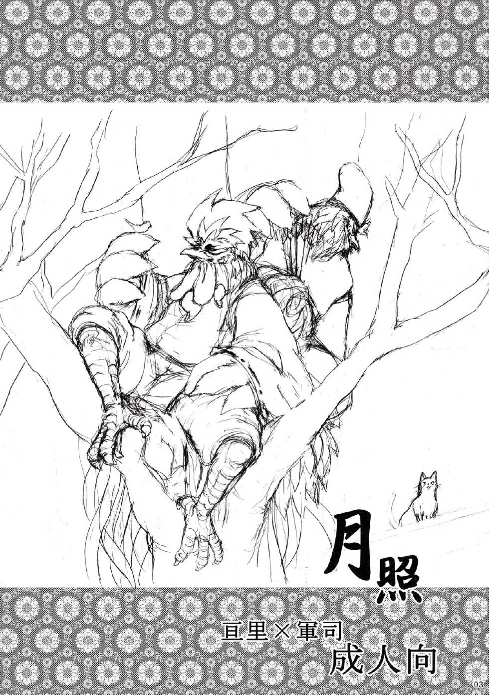 (C85) [Hallucigenia (Kamidou Haruki)] Gesshou (Gingitsune) - Page 2