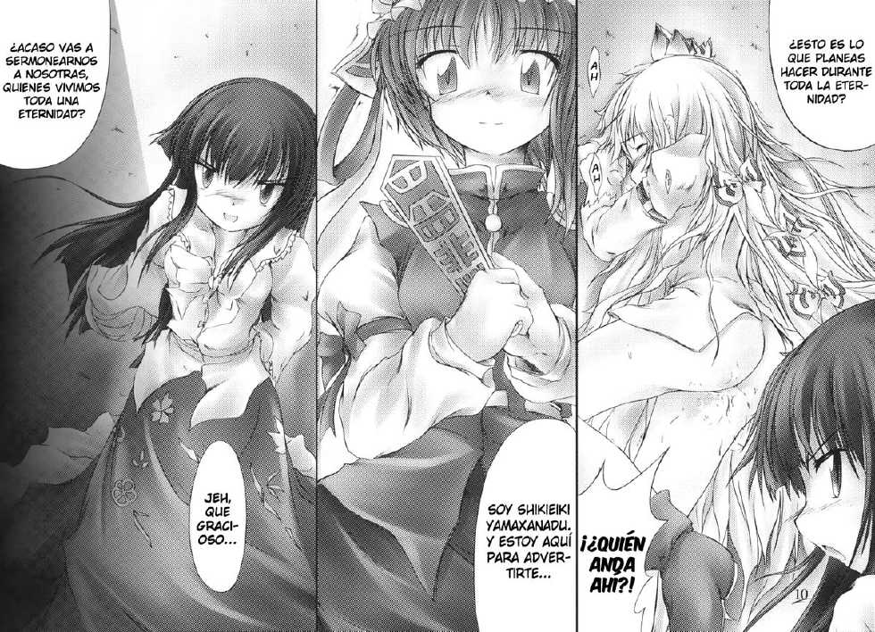 (C69) [NT CONFESS (Enu Kei)] Yuugen no Shigure, Eien no Hari. (Touhou Project) [Spanish] [Ichi no Fansub] - Page 10
