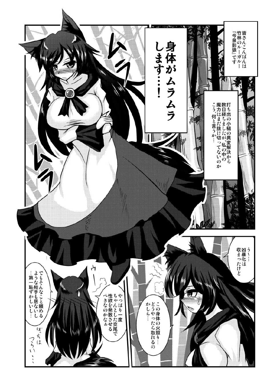 [Anago] 『おっぱいルーガルー』丸上げ (Touhou Project) - Page 2
