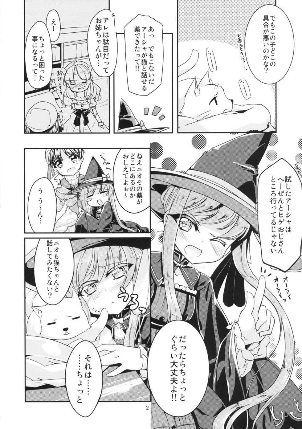 [-Sanbyaku Rokujuu do- (Shirasagi Rokuwa)] Hatsujou Medicine (Atelier Ayesha) [Digital] - Page 4