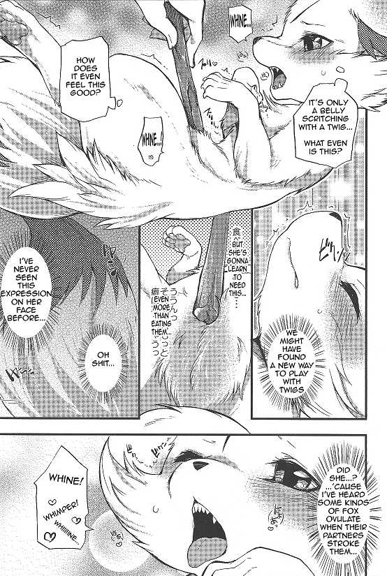 (C85) [Dogear (Inumimi Moeta)] Roman de Renart (Pokémon X and Y) [English] - Page 12