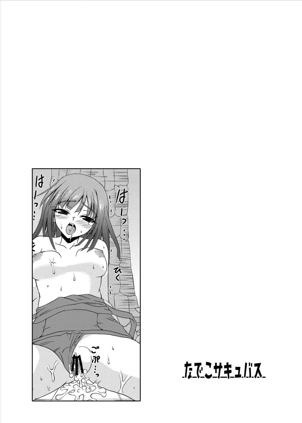 [Lapiss] Nadeko Succubus (Bakemonogatari) [Digital] - Page 22