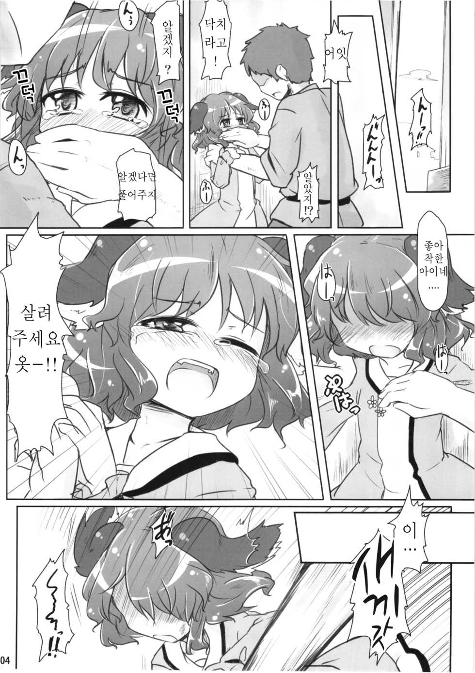 (Reitaisai 8) [Yousei Allergen (TEC)] Charged Scream (Touhou Project)  (korean) - Page 4