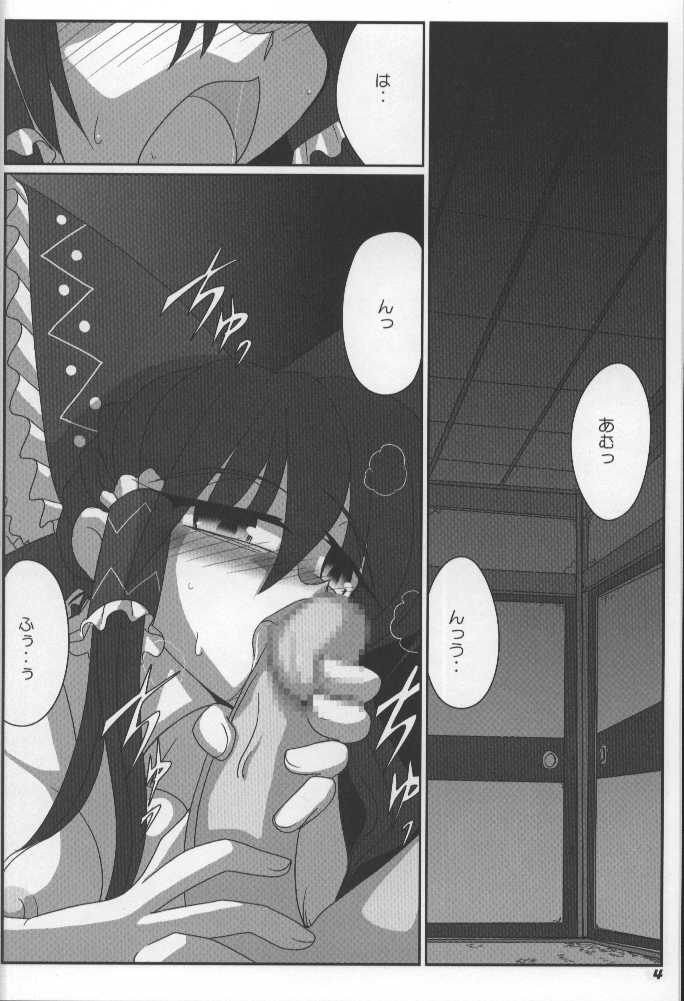 (SC34) [Kieyza cmp (Kieyza)] TOHO N+ (Touhou Project) - Page 5