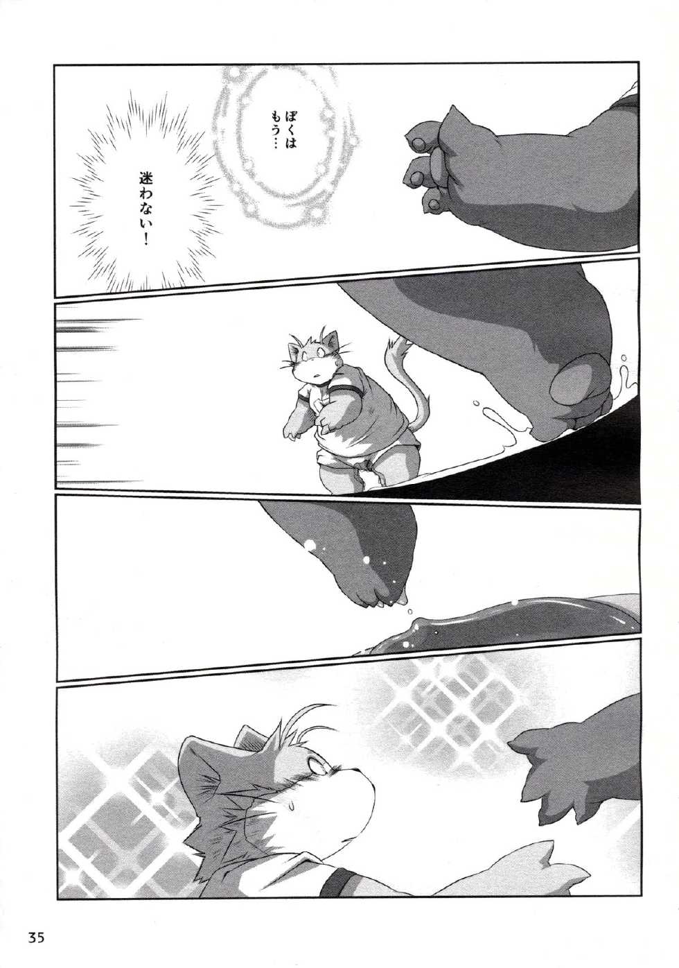 (C85) [37 Drop (Various)] MIRISHICA8 DARKSIDE (Various) - Page 35