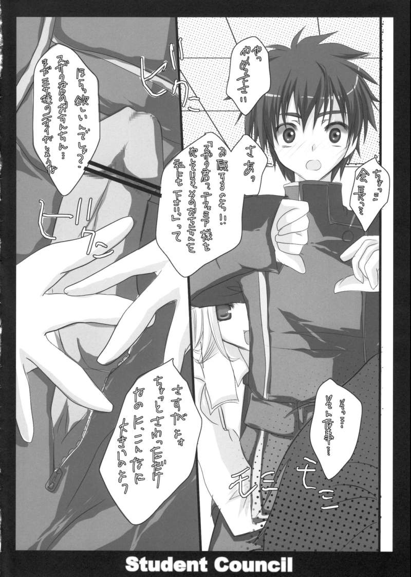 (HaruCC12) [Romantic Sintai-Kensa. (Nakamura B-ta)] Student Council (Code Geass) - Page 10
