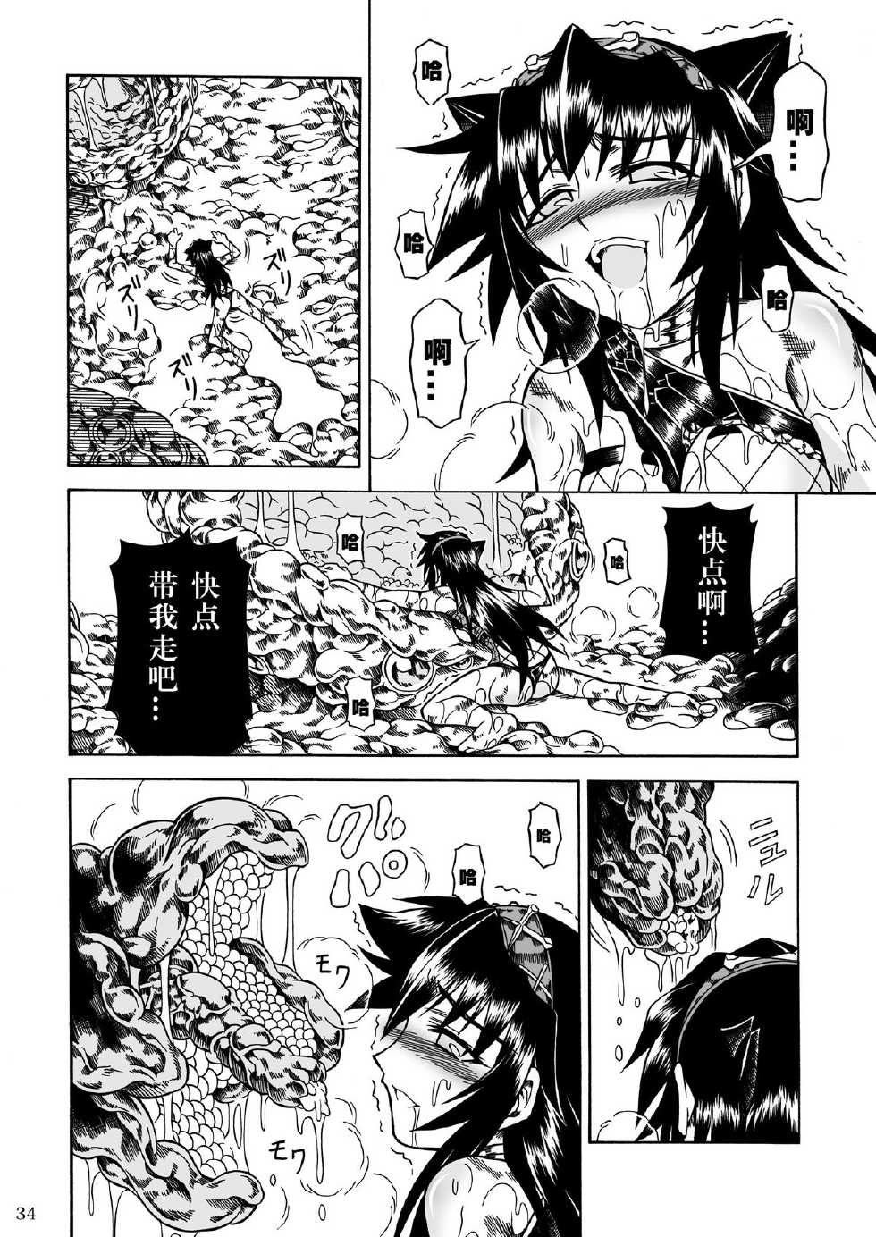 (C80) [Yokohama Junky (Makari Tohru)] Solo Hunter no Seitai 2 The third part (Monster Hunter) [Chinese] - Page 34