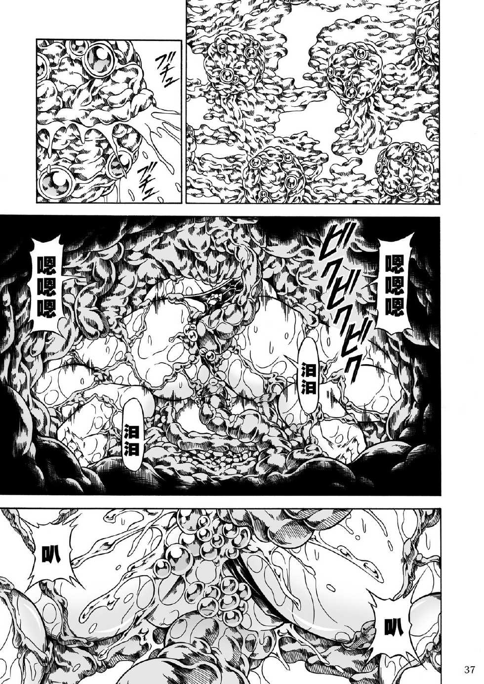 (C80) [Yokohama Junky (Makari Tohru)] Solo Hunter no Seitai 2 The third part (Monster Hunter) [Chinese] - Page 37