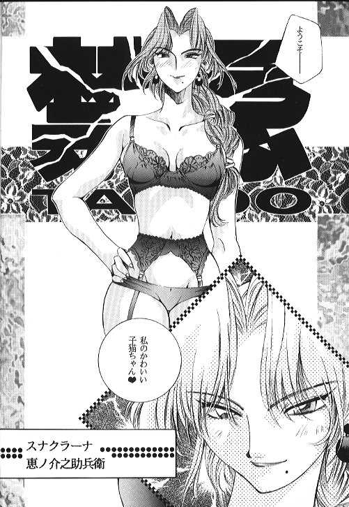 (Cレヴォ17) [PINK CAT'S GARDEN (Various)] SEXCEED Ver. 4.1 - Page 9