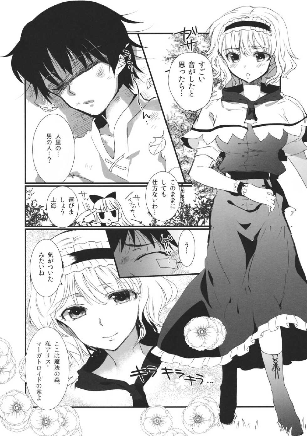 (C85) [Uminari (Narumi)] Inran Alice (Touhou Project) - Page 3