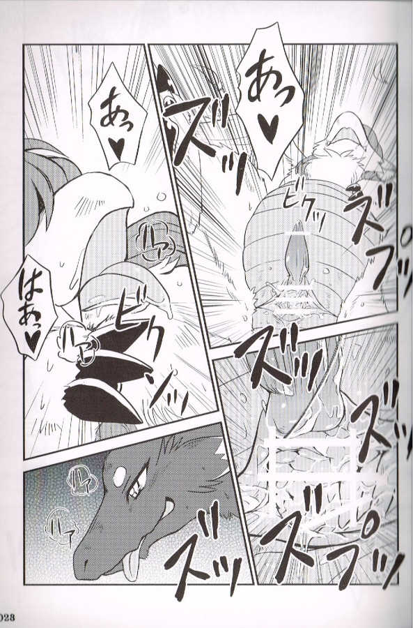 (C83) [KEMONERS-FORZA (Various)] SYRU-DRA 4 [Incomplete] - Page 21