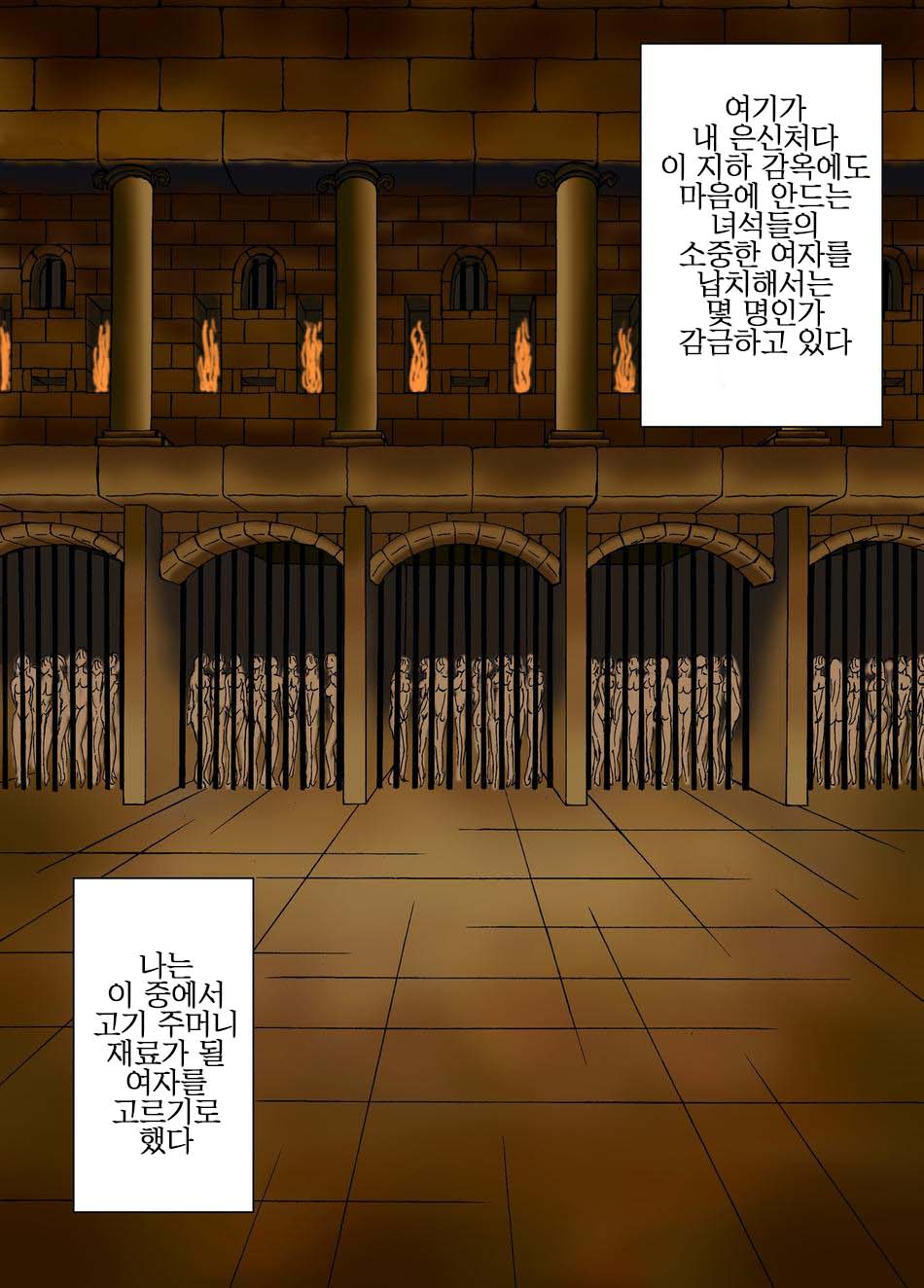 [結晶水]人間爆弾(korean) - Page 11