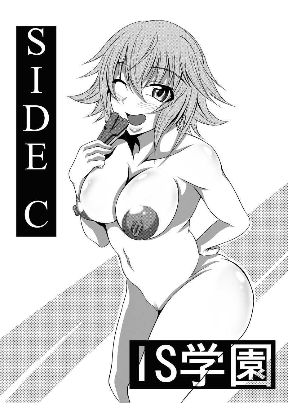 [Bitch Bokujou (Bokujou Nushi K)] GIRLS MEET DQN’S TINPO (Infinite Stratos) [Digital] - Page 32