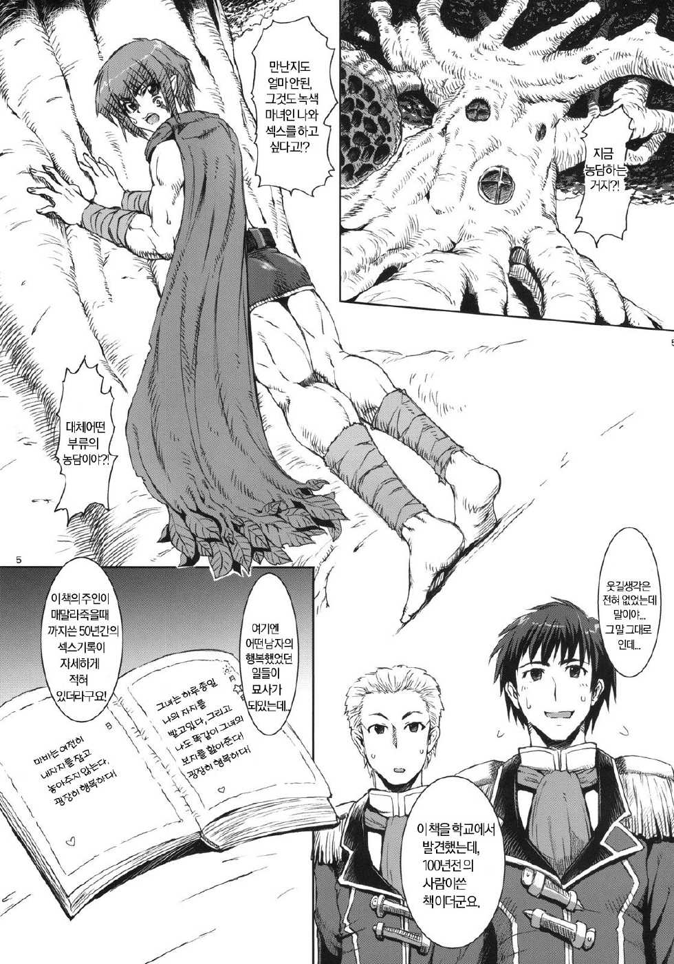 (C78) [SHD (Buchou Chinke, Hiromi)] Haijo DS Chou 3 -Eyes- (Luminous Arc) [Korean] - Page 4