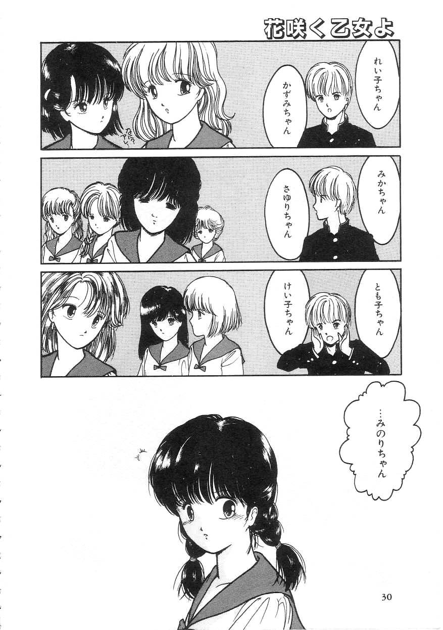 [Tonami Muka] 100% Pure Lady - Page 30