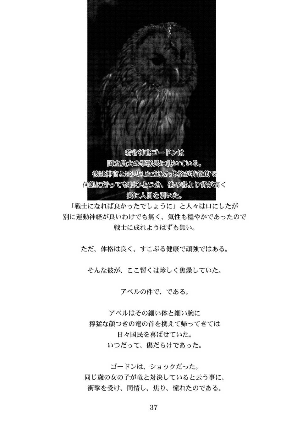 (C80) [Coppo-Otome (Nagao Yamahiko)] Kaze no Toride Abel Dai 1-Shuu Kimyouna Megami (Dragon Quest III) - Page 36