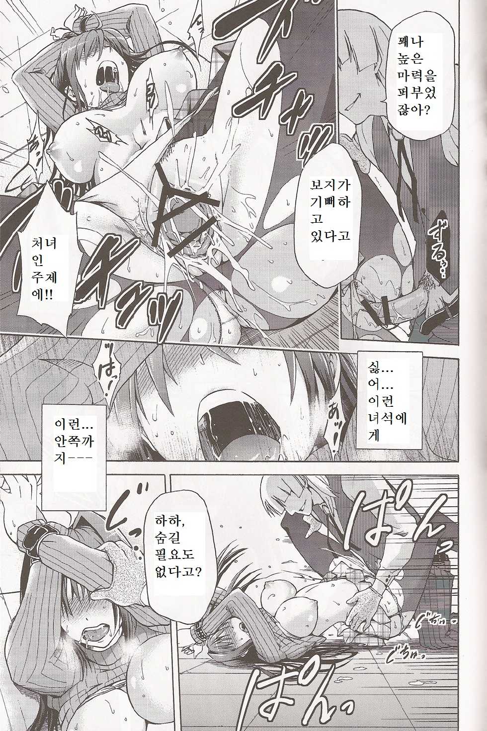 (C83) [Jyouren Kishidan (Various)] Aoko BLUE (Mahou Tsukai no Yoru) [Korean] - Page 14
