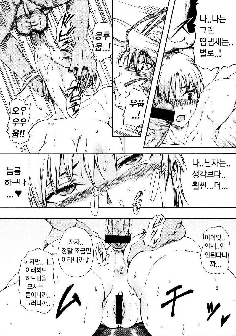 (COMIC1☆3) [SHD (Buchou Chinke, Hiromi)] Seijo Ninpouchou (Arcana Heart) [Korean] - Page 28