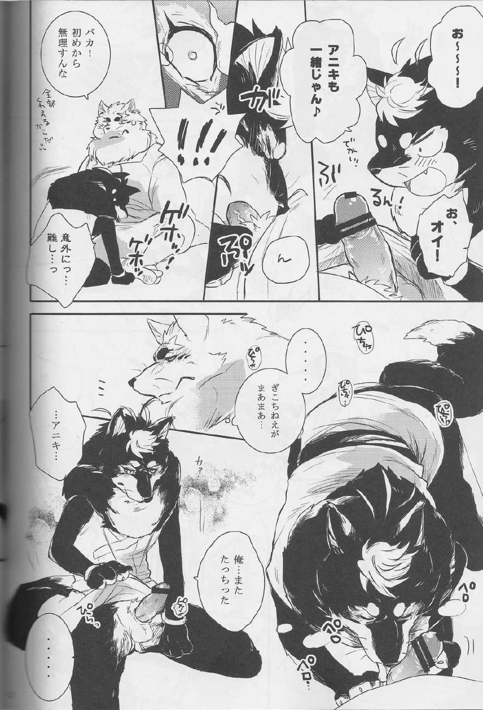 (C84) [Hallucigenia (Kamidou Haruki)] Ginsetsu (Gingitsune) - Page 11