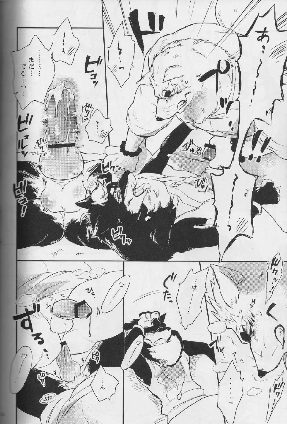 (C84) [Hallucigenia (Kamidou Haruki)] Ginsetsu (Gingitsune) - Page 15