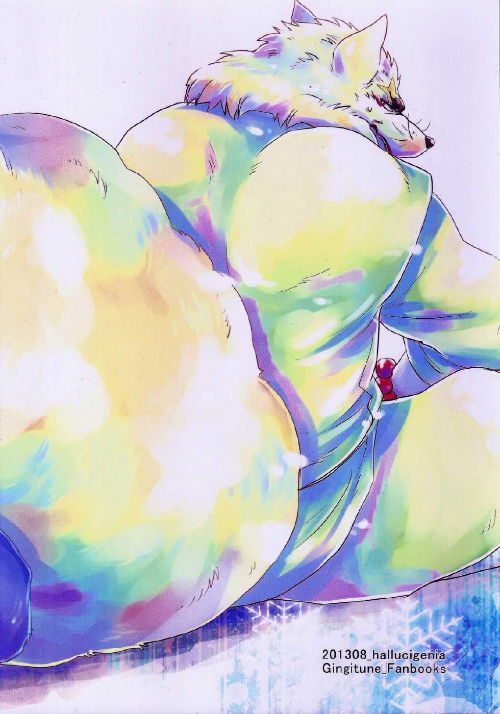 (C84) [Hallucigenia (Kamidou Haruki)] Ginsetsu (Gingitsune) - Page 24