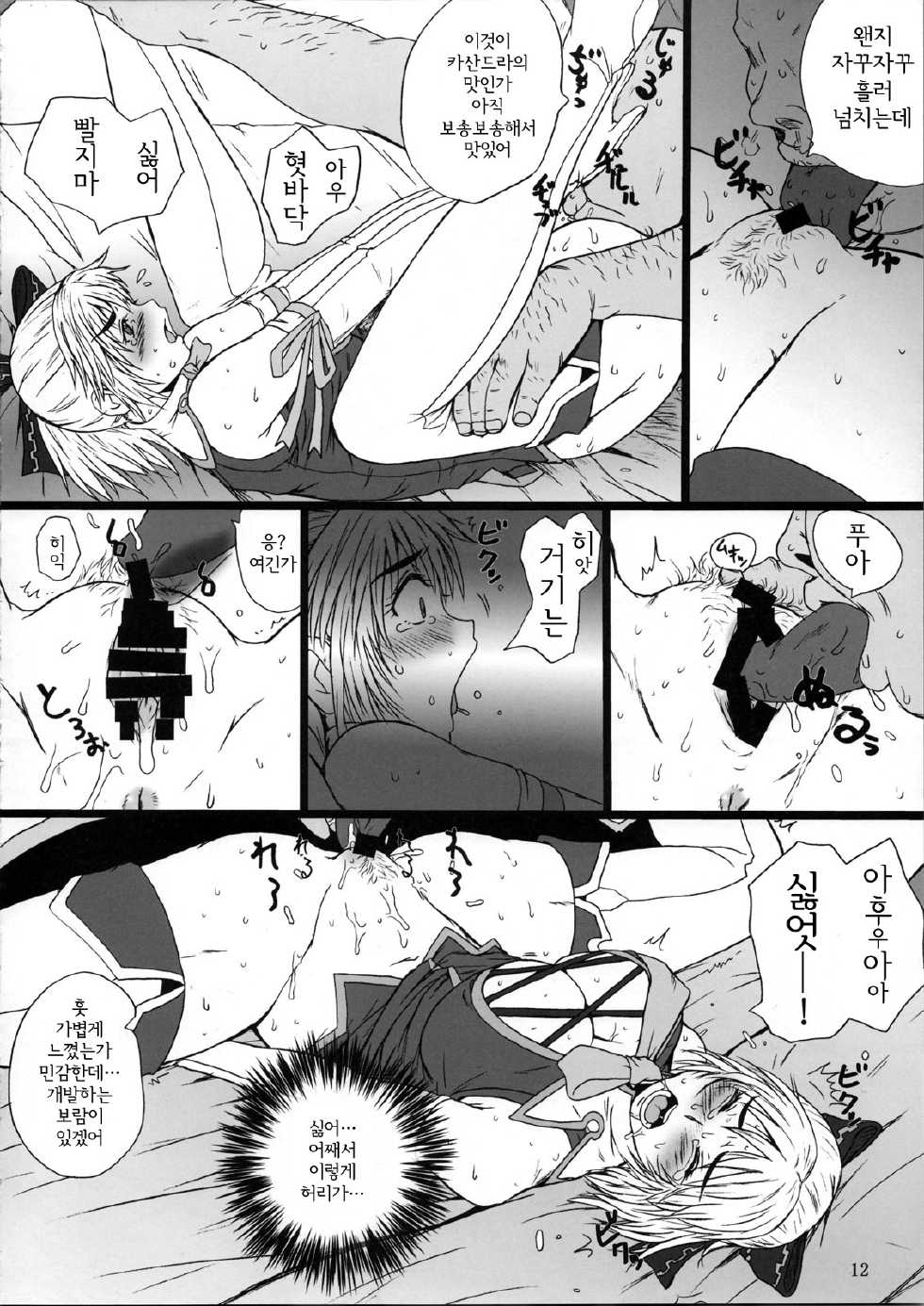 (C73) [DASHIGARA 100% (Minpei Ichigo)] Casamani 0 (SoulCalibur) [Korean] - Page 11