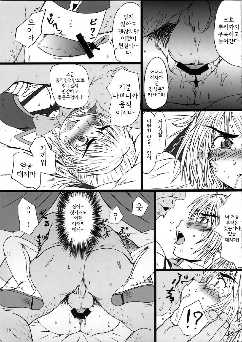 (C73) [DASHIGARA 100% (Minpei Ichigo)] Casamani 0 (SoulCalibur) [Korean] - Page 14