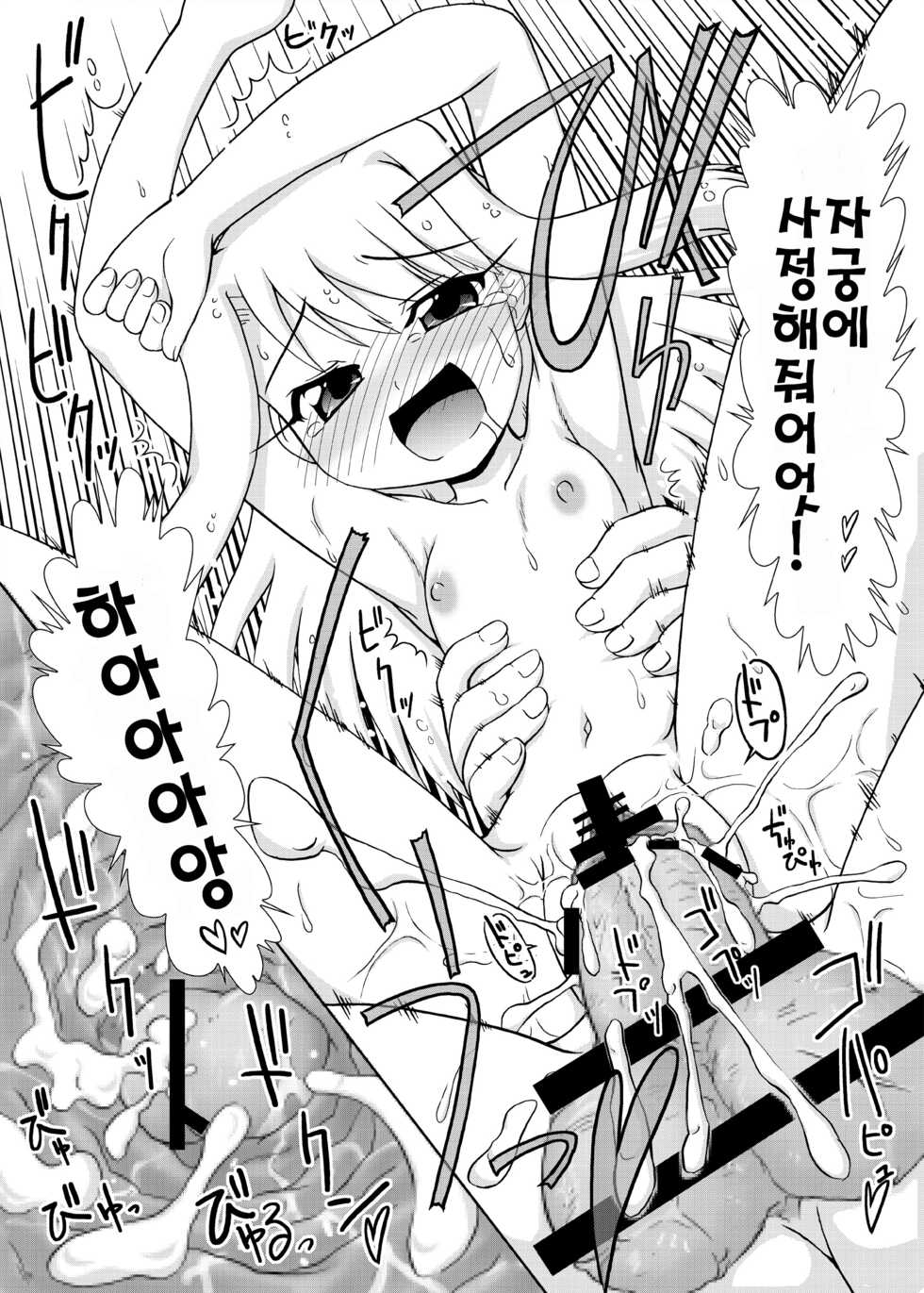 [PNO Group (Hase Yuu)] Motto! Ilya Bunhokan Keikaku (Fate/stay night) [Korean] [Team Two Love] - Page 29