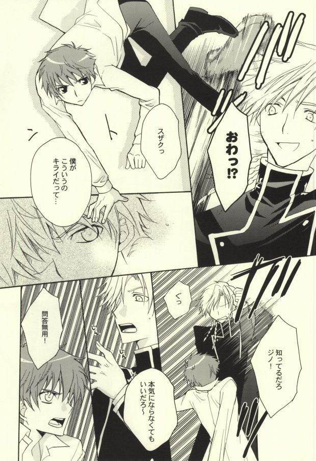 (C74) [Usakaji (Nanjou Tsugumi)] REC● (CODE GEASS: Lelouch of the Rebellion) - Page 24