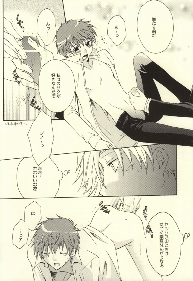 (C74) [Usakaji (Nanjou Tsugumi)] REC● (CODE GEASS: Lelouch of the Rebellion) - Page 29