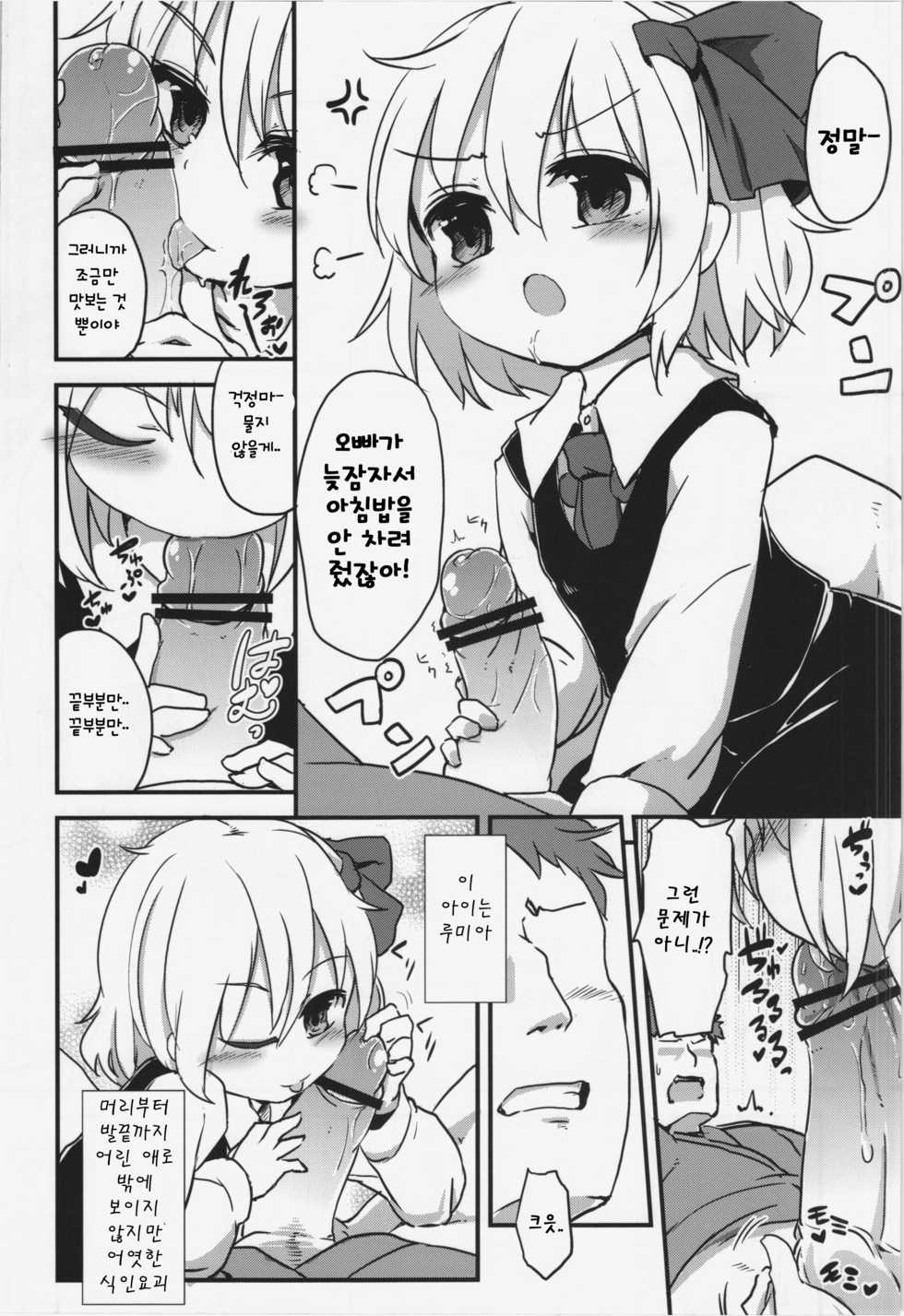 (C83) [Yousei Allergen (TEC)] Itoshi no Blindness (Touhou Project) [Korean] - Page 6