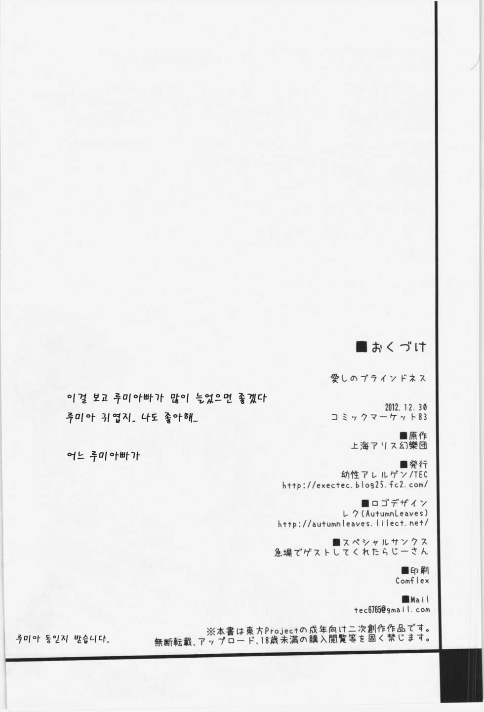 (C83) [Yousei Allergen (TEC)] Itoshi no Blindness (Touhou Project) [Korean] - Page 22