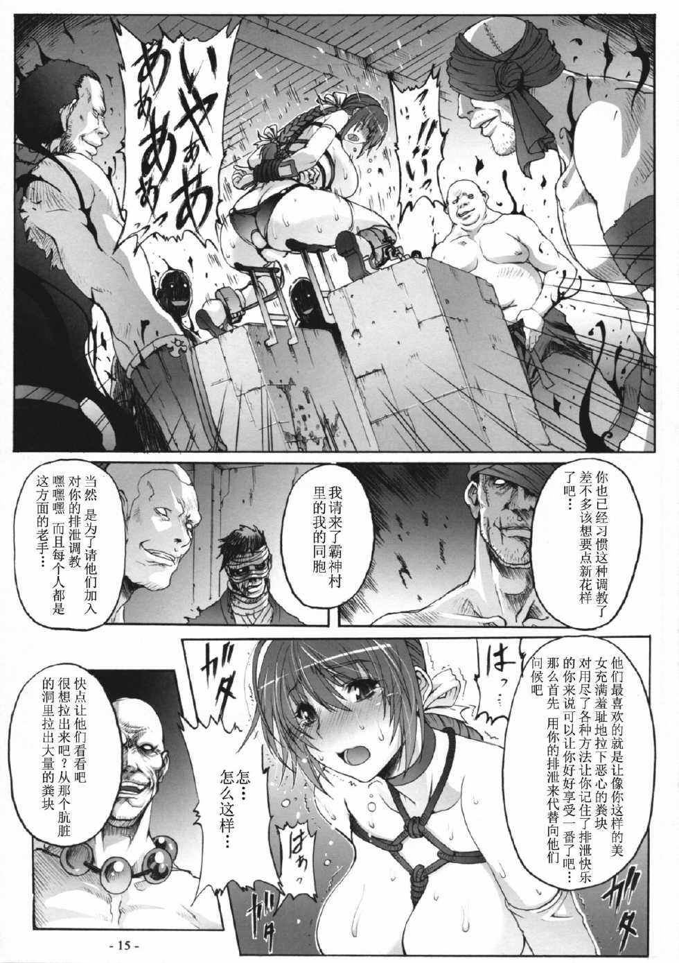 (C81) [Wolkenkratzer (Bontenkarasu, Erect Sawaru)] Decadence 3 (Dead or Alive) [Chinese] [ナナコ个人汉化] - Page 14