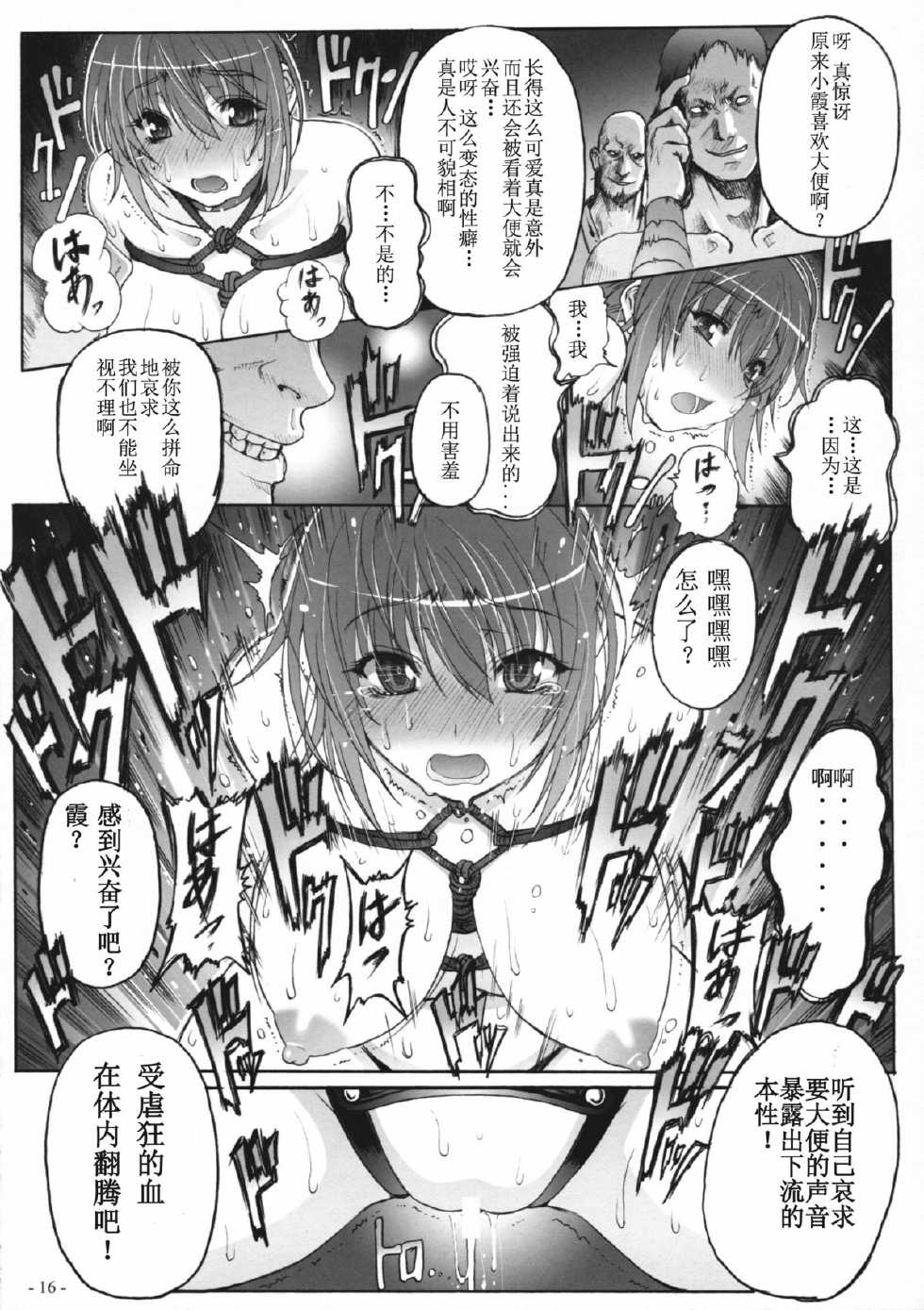 (C81) [Wolkenkratzer (Bontenkarasu, Erect Sawaru)] Decadence 3 (Dead or Alive) [Chinese] [ナナコ个人汉化] - Page 15